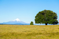 DSC03875-Edit