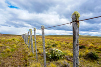 DSC04216-Edit