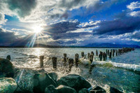 Landscapes